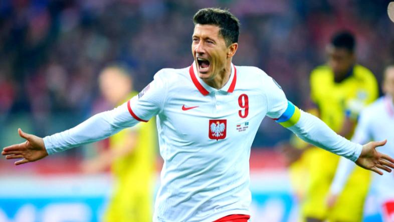 世欧预波兰主场强势出击，阿尔巴尼亚客场突围！