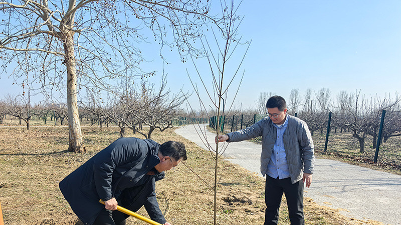 河北医科大学医学影像学院开展植树节志愿服务活动