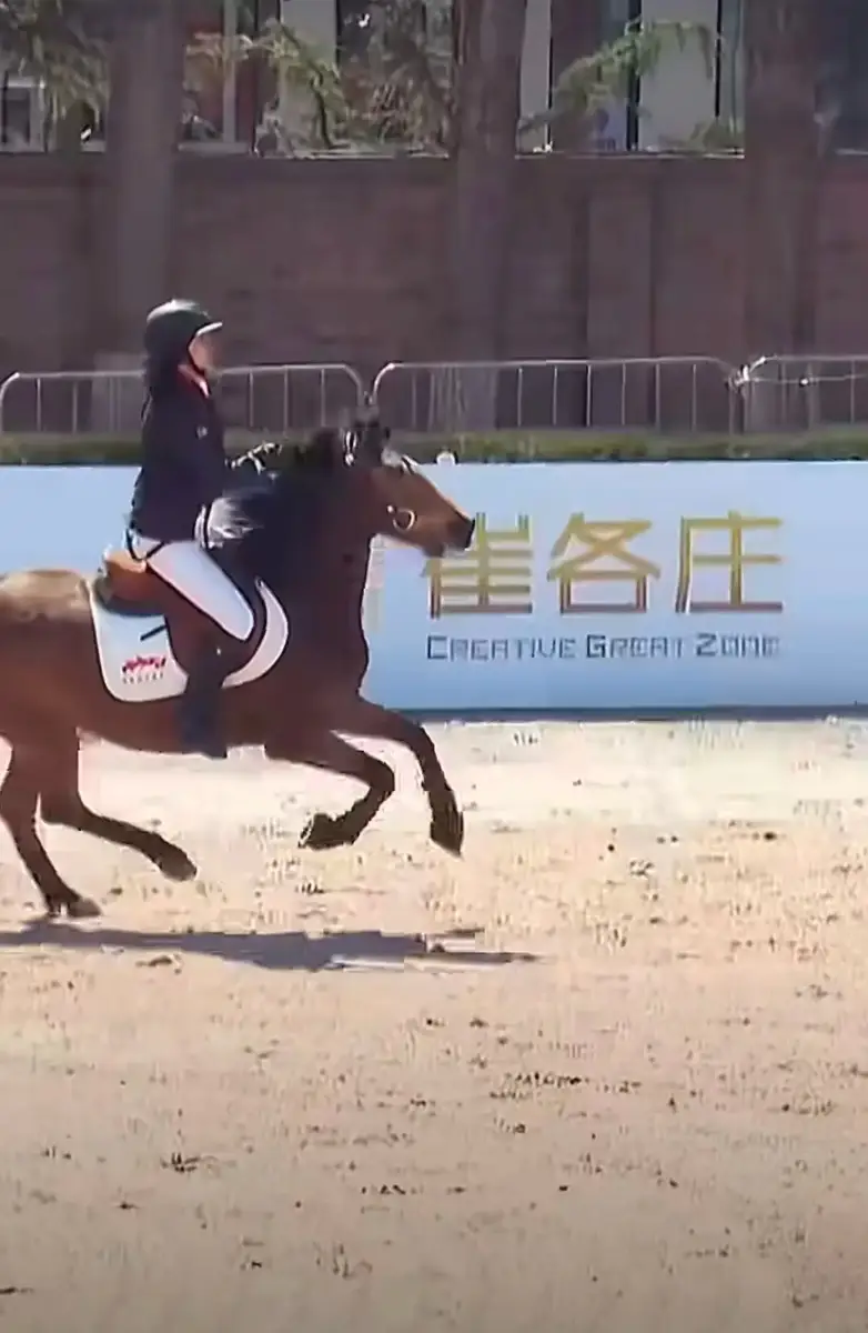 刘烨14岁女儿马术赛场肆意驰骋 霓娜英姿飒爽技术纯熟