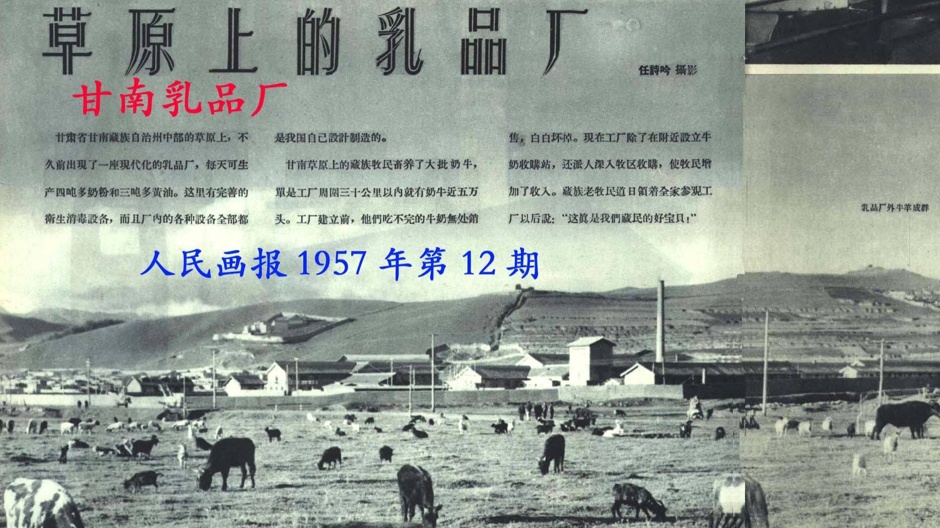 故事会：听牧民爷爷讲那过去的事情——关于1953年的一颗“火种”