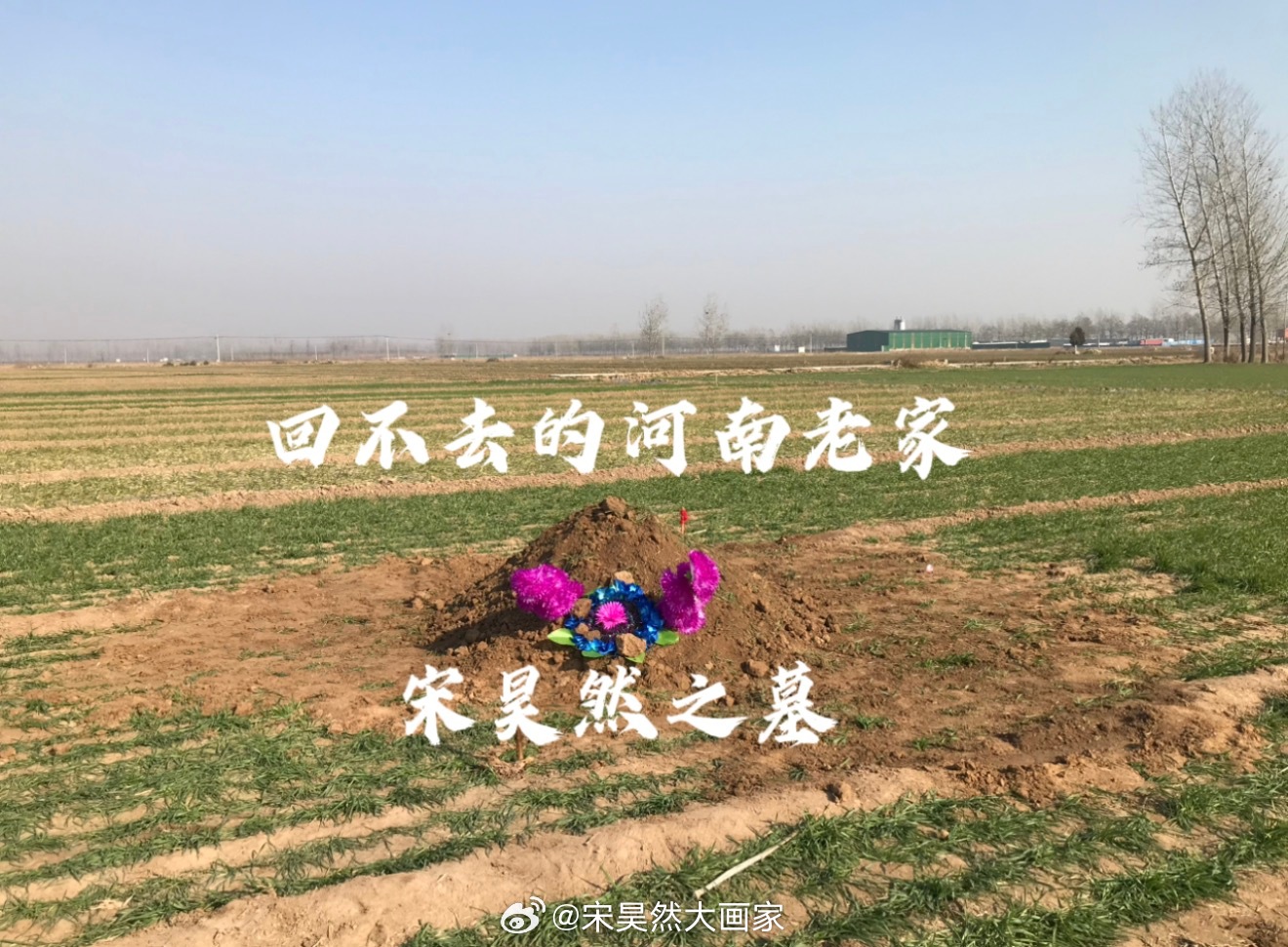 宋昊然大画家走了1533天