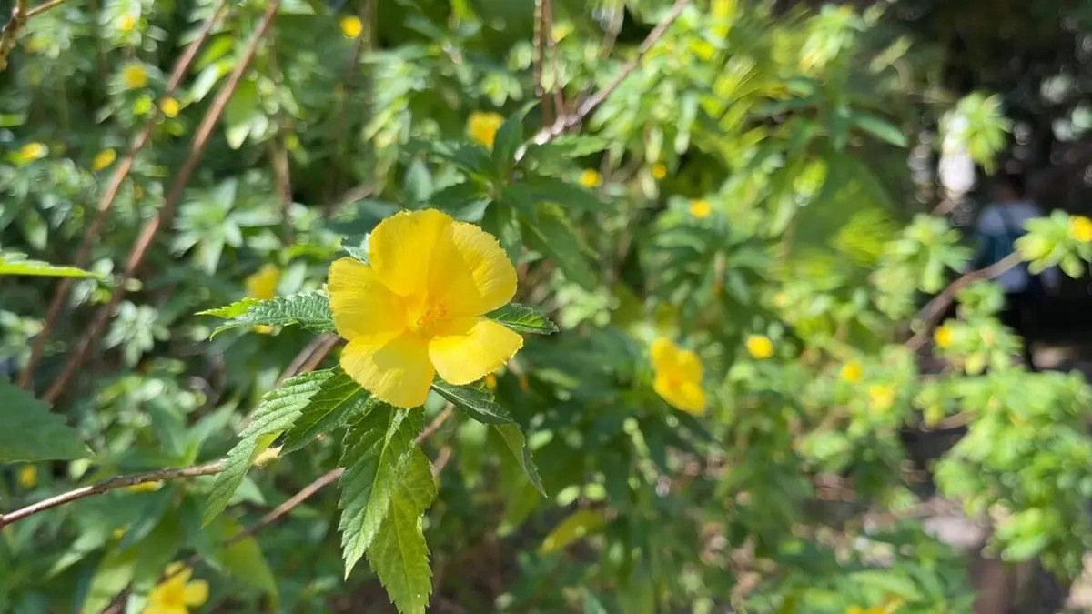 随变化而变化，享受人生