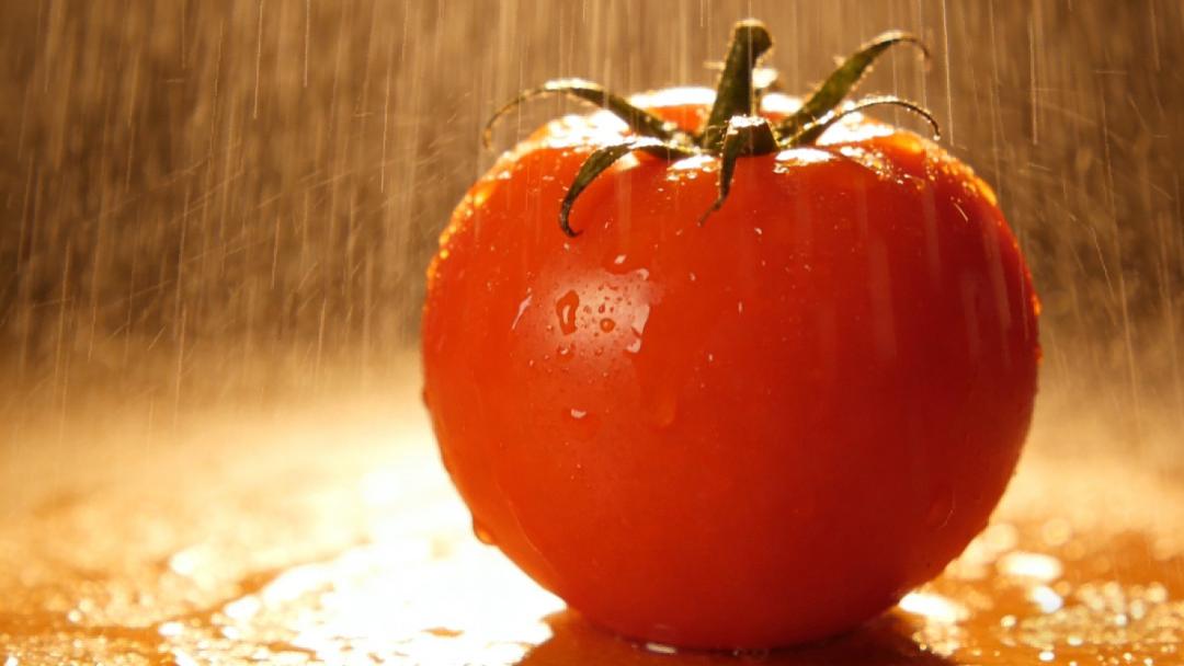 “亚洲生菜大王”的二次革命，他如何用一颗番茄做到10个亿？