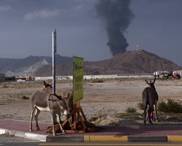 中东乱成一锅粥，俄偷偷赚麻了