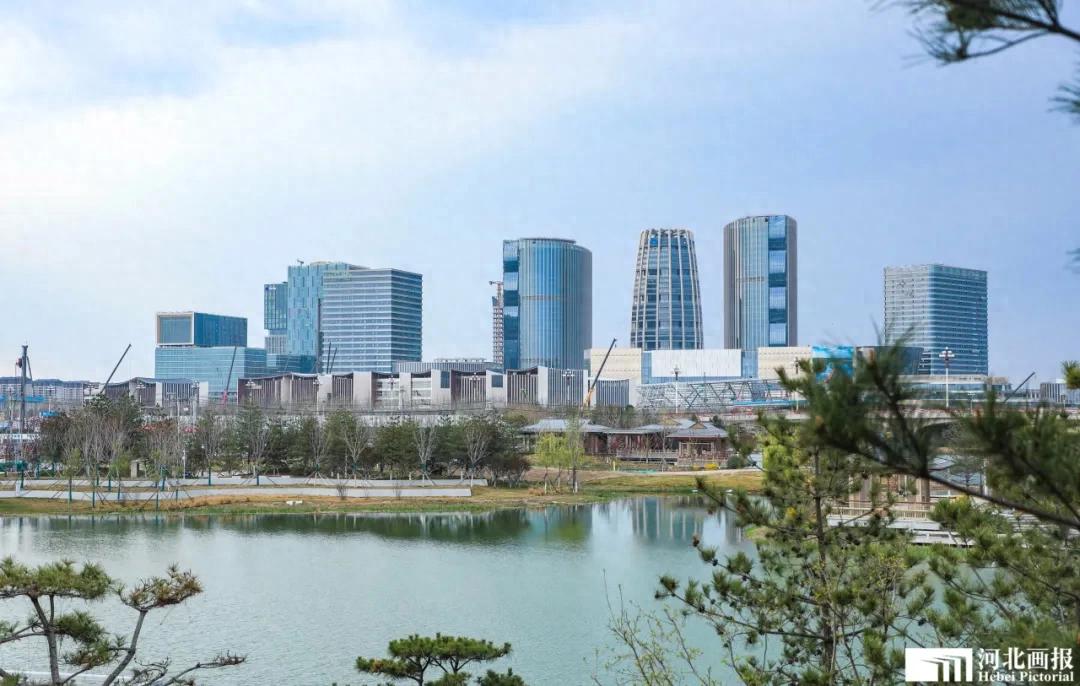 迎着春光拔节生长