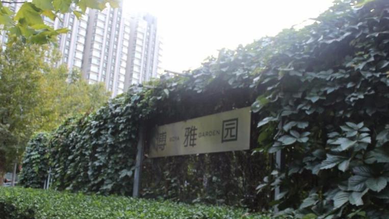 异地他乡遇良友  国际友人给点赞