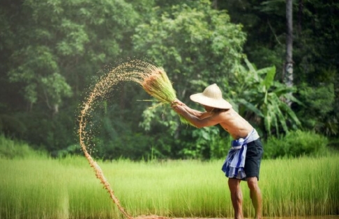 泰国总理府副发言人拉丽达·佩里斯维瓦塔纳18日透露，今年以来泰国出现的类鼻疽疫情