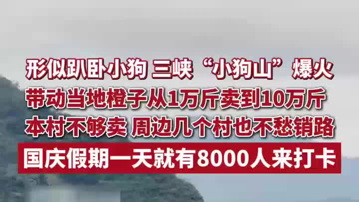 三峡“小狗山”爆火，带动当地橙子卖到10万斤，周边村也不愁销路