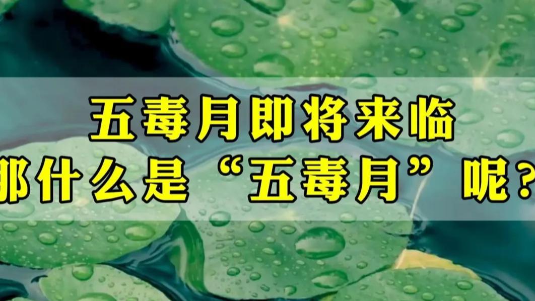 善韵缘|五毒月将至，该把钟馗请出来了！记住这些禁忌，全家平安度过毒月