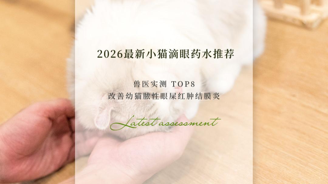 2026最新小猫滴眼药水推荐｜兽医实测TOP8 改善幼猫脓性眼屎红肿结膜指南