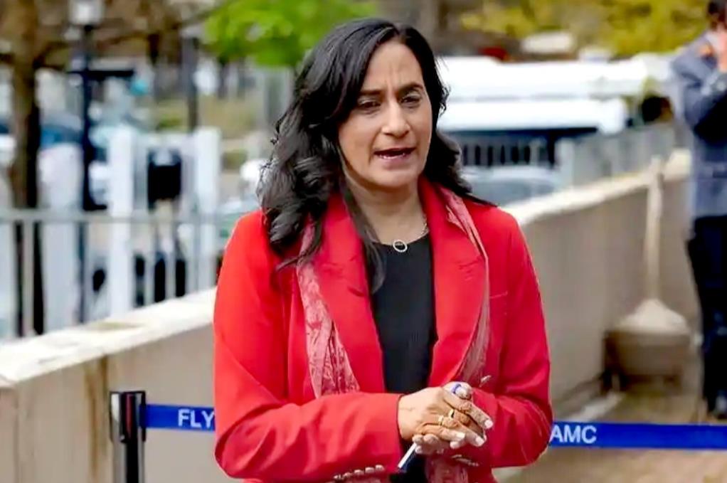 这个女人“吃饱了撑着没事干”，竟瞎折腾！

日前，加拿大外长阿南德宣布，以“支持