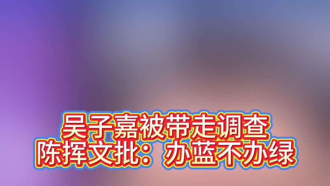 吴子嘉被带走调查，陈挥文批：办蓝不办绿