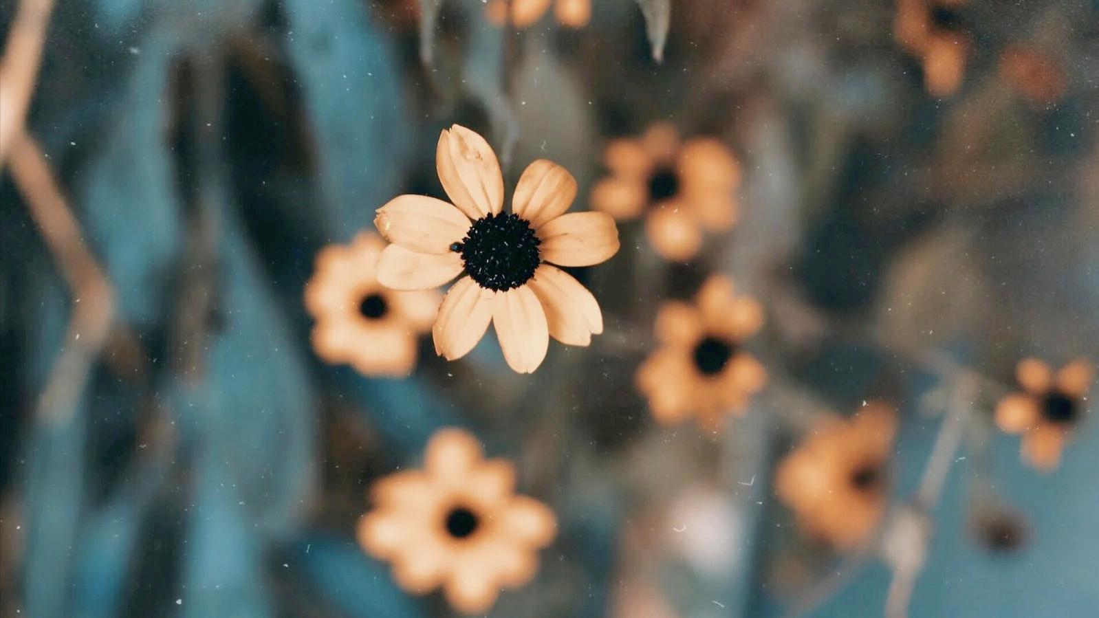 不和烂人翻脸，做好这三件事，才是真格局