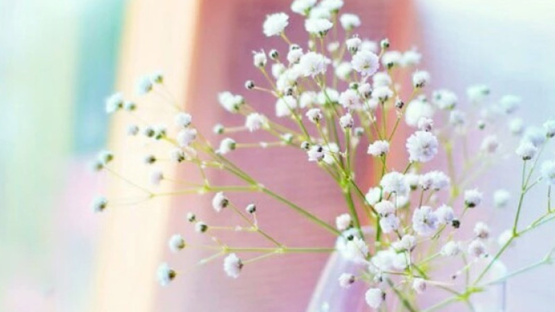 试过100种方法后！三步阻断抑郁症复发的攻势