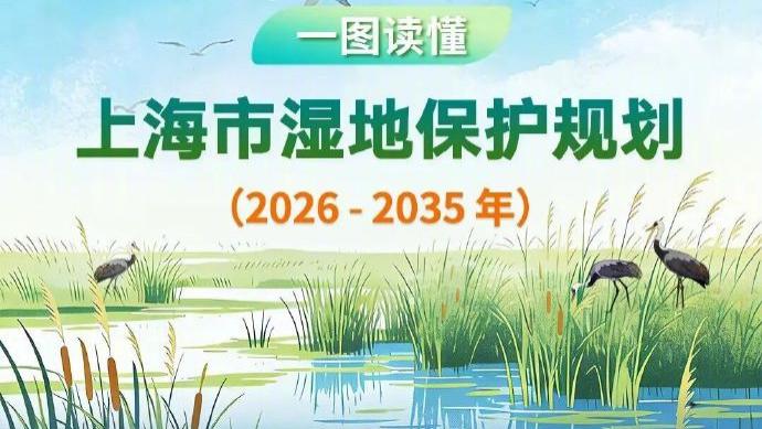 守护申城“湿”意，上海湿地保护新蓝图来了