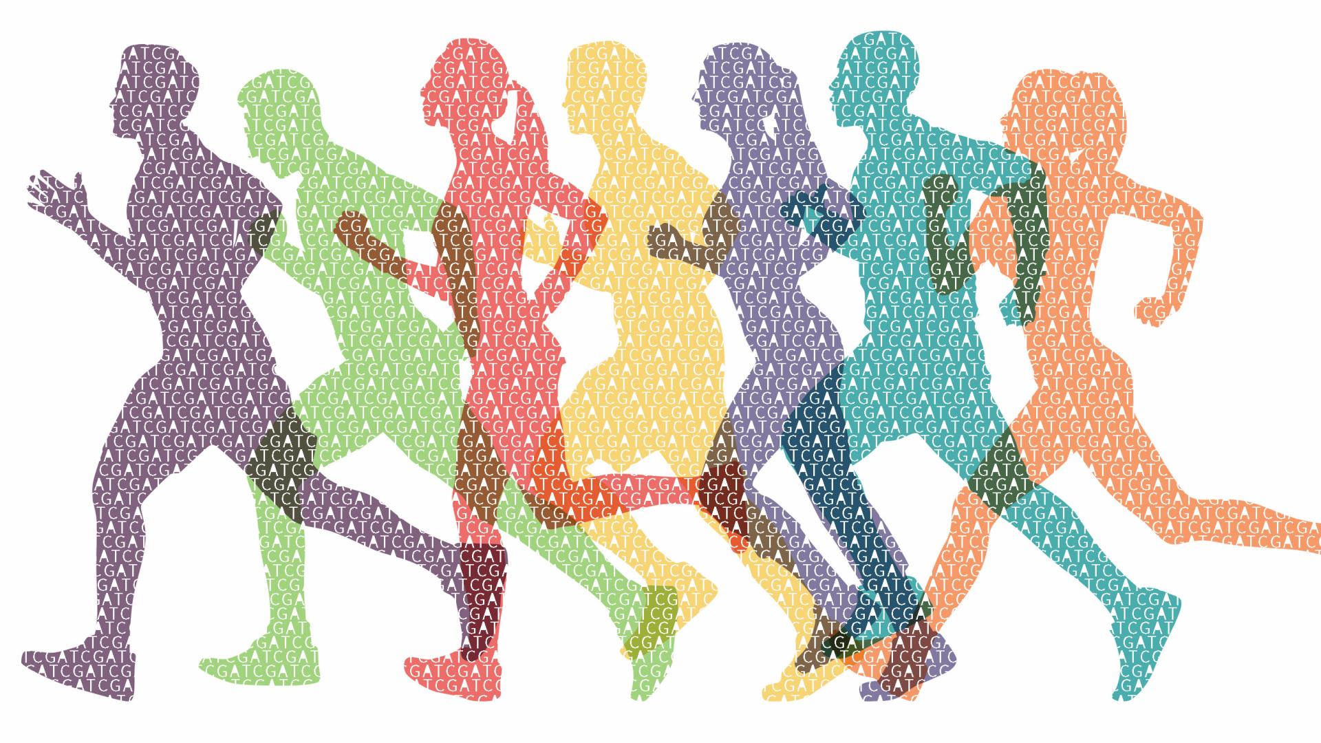 高血压性视网膜病变的遗传力大小如何评估？