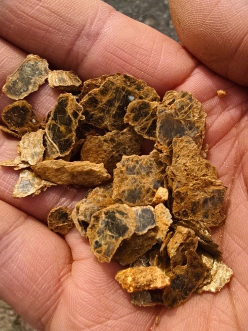 “爸爸，这里有黄金。”4月22日，辽宁大连庄河市居民孙文阁向大皖新闻记者回忆了他