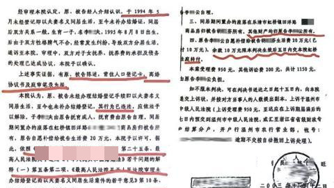 1993年事实婚姻为何被定非法同居？浙江乐清2003年旧案生疑