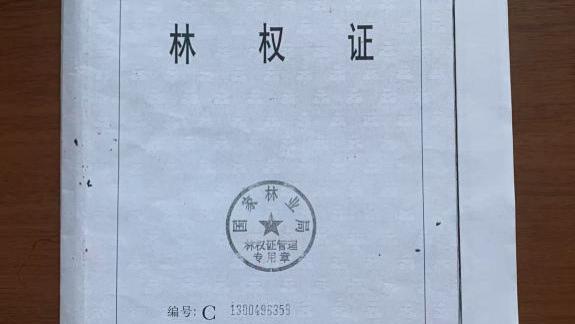 赢了官司输了地，河北省霸州市农民维权反遭拘留