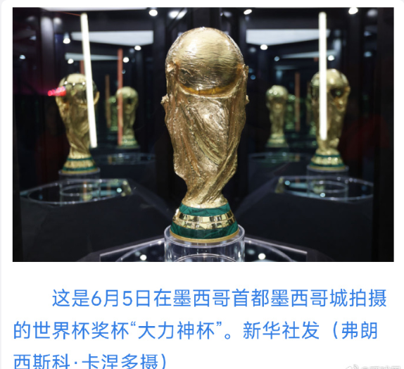 新华社北京6月14日电 伊朗队定于当地时间15日迎来2026美加墨世界杯首战。伊
