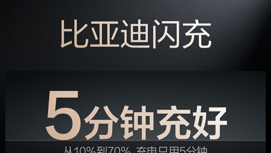 发布ESG报告、参与制定全球汽车标准，比亚迪锚定200年后的绿色承诺