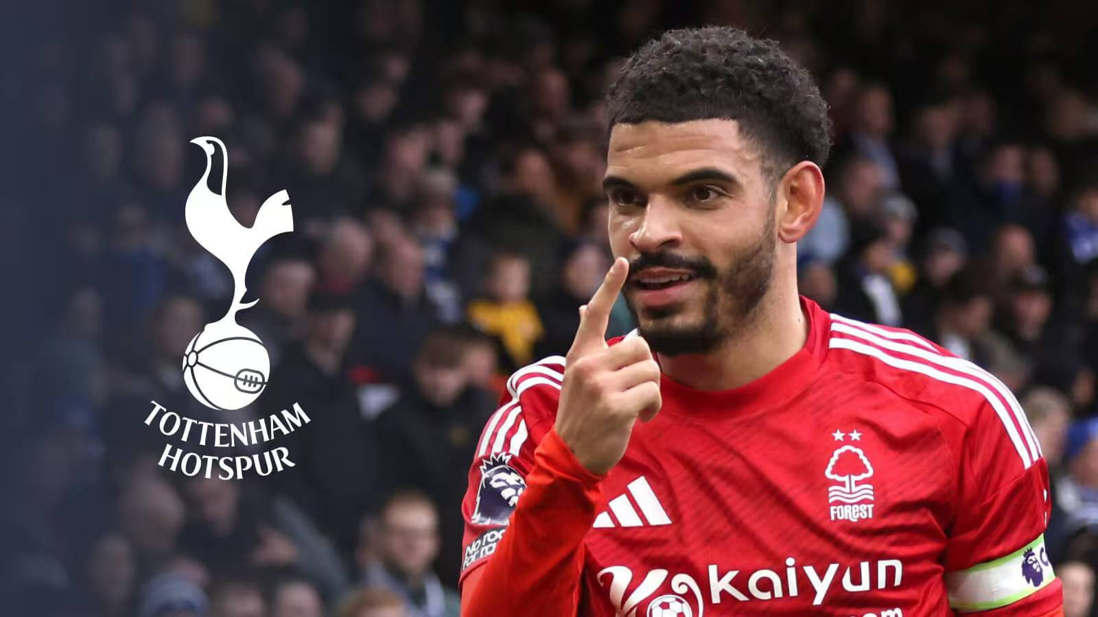 3月22日，热刺vs诺丁汉森林：保级生死战，残阵对决谁能逃出生天？