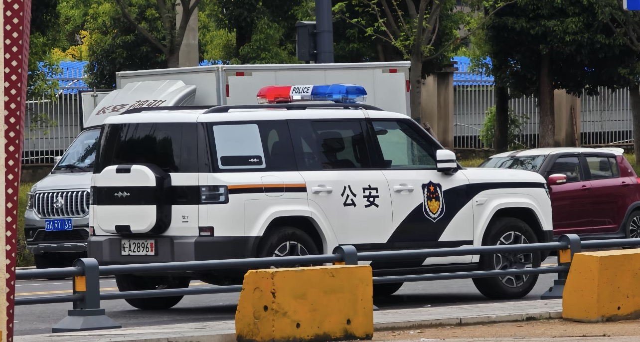 谁能想到，国产车真在全世界杀疯了！这次直接把公务车市场拿捏得死死的