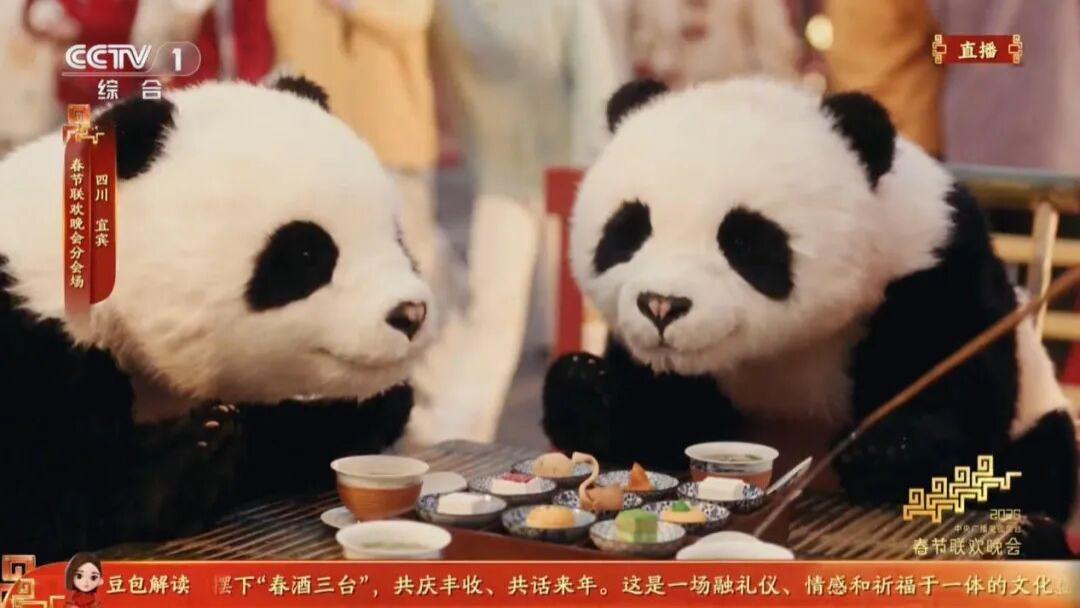 从魔法原子的机器人秀，看一位长期主义者的“春晚答卷”