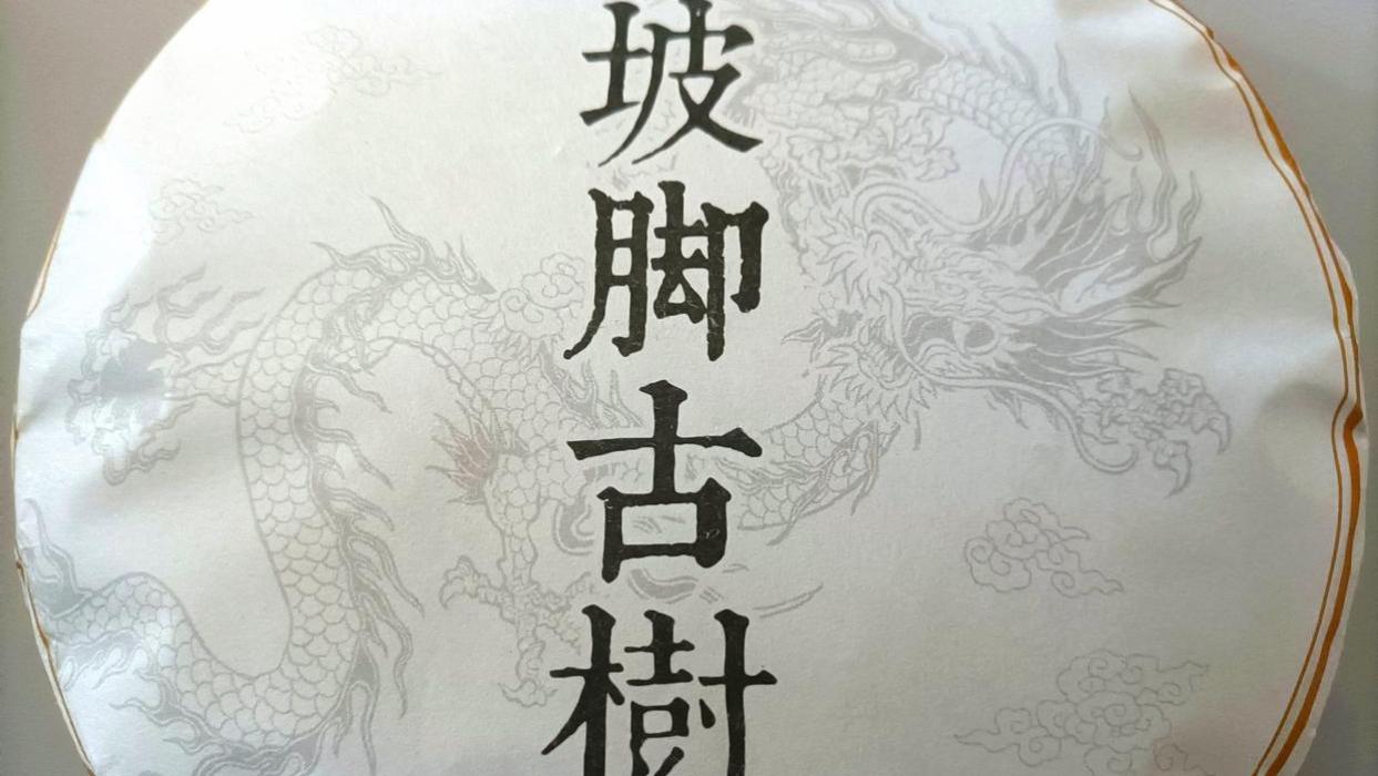 品鉴坡脚古树茶
