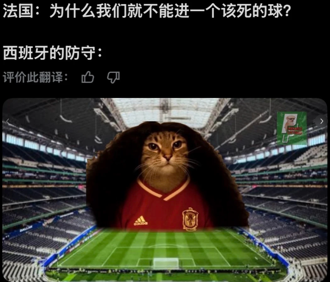 谁能想到阻止法国进攻的负责人是库库雷利亚！直接不让过?
	
