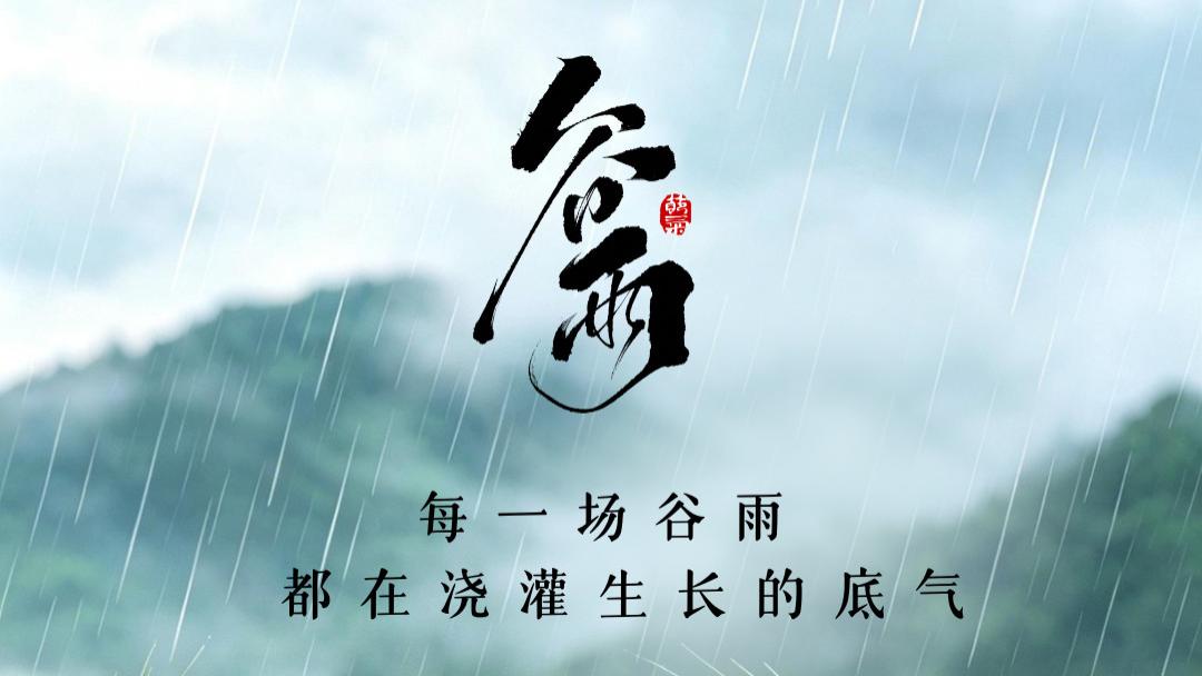 谷雨｜雨润百谷，春生万象