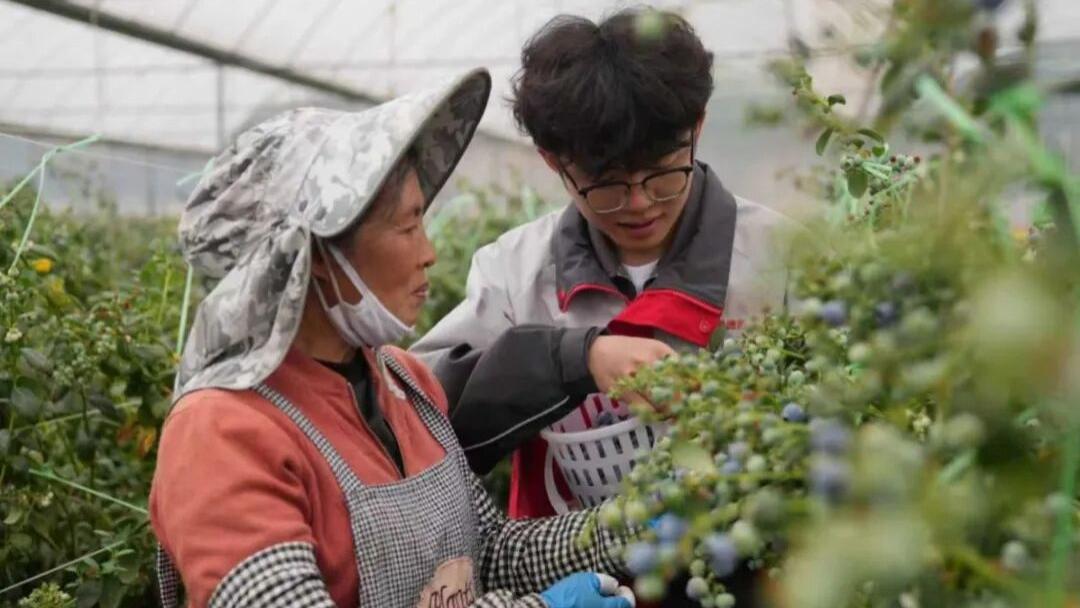 时隔一年，云南极兔大变样