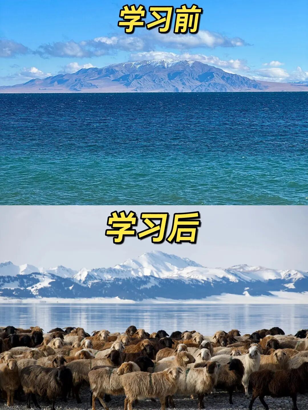 男子晒出自学摄影9个月的成果，却遭网友无情调侃！大家来看看他的拍摄技术有提升吗？