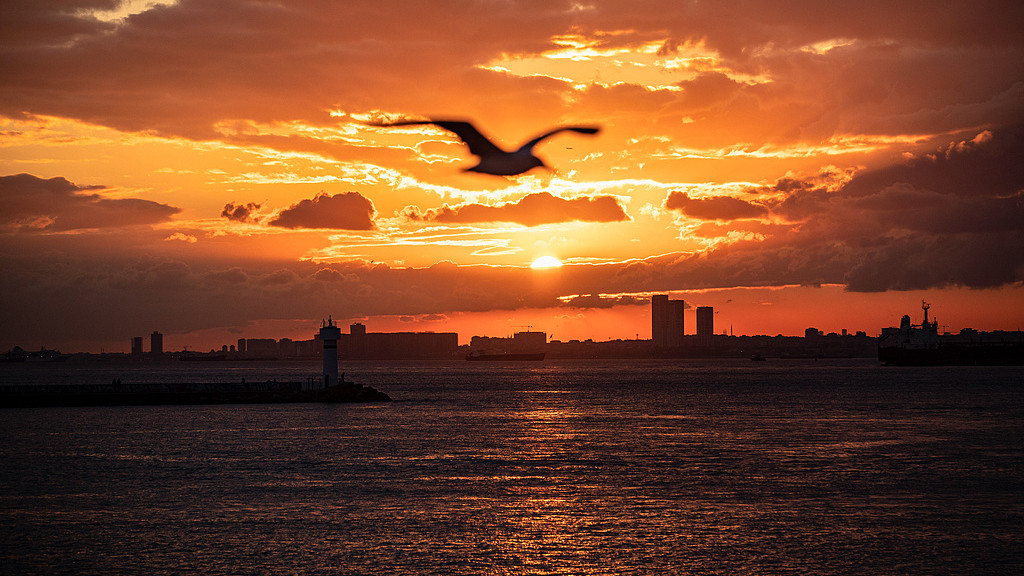 美学与丑；自然美、艺术美、社会美、道德美、人体美