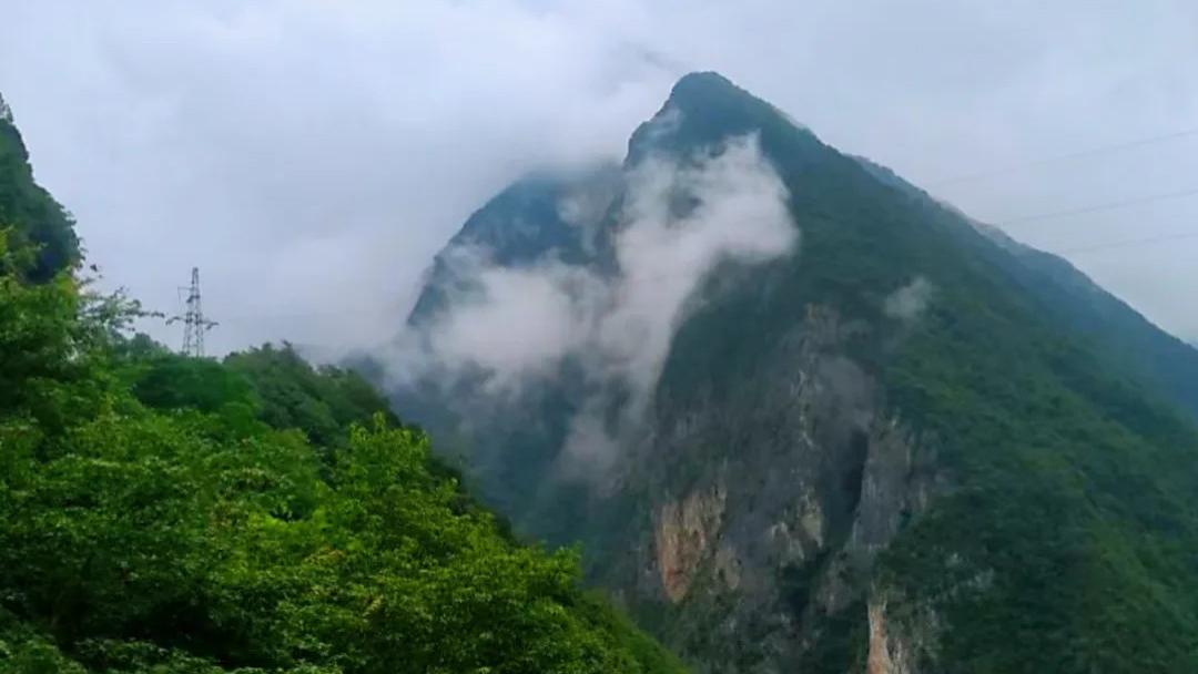 青山隔旧梦 归来人已迁