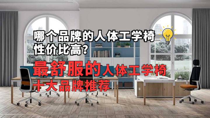 哪个品牌的人体工学电脑椅性价比高？最舒服的人体工学椅十大推荐