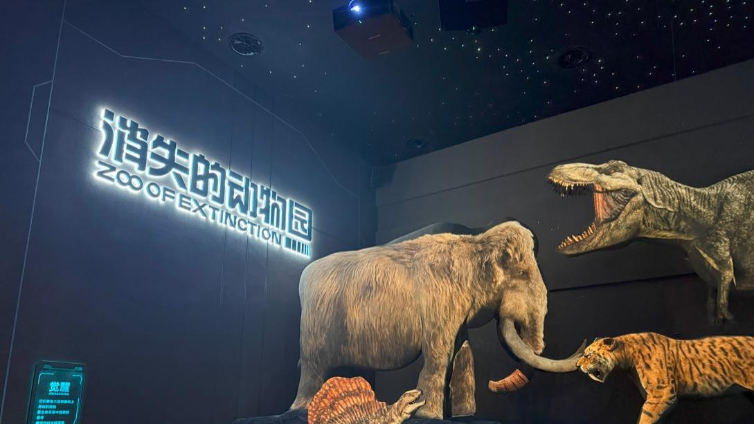 科视 Christie Jazz 系列投影机助力苏州科技馆“消失的动物园”沉浸式展示