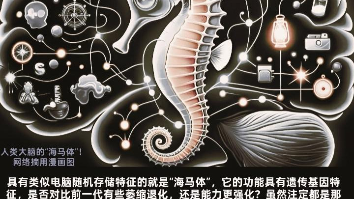 思路人脑如何认知“时间”？