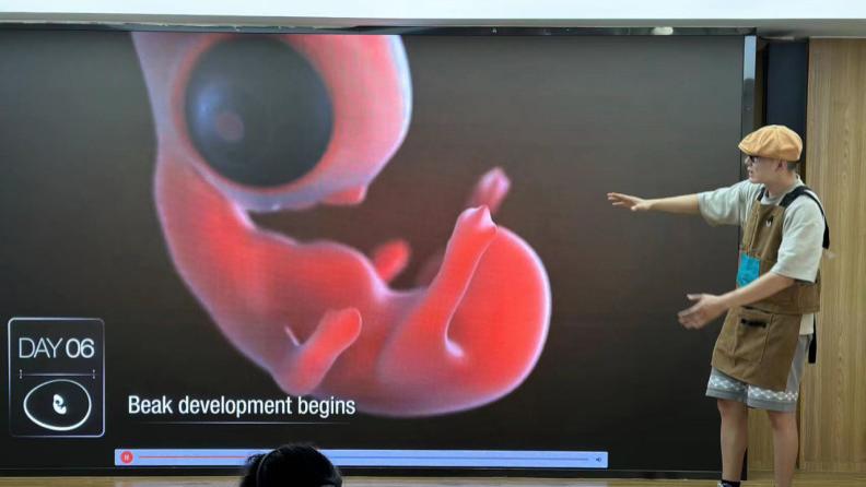 国内科学教育品牌介绍与比较