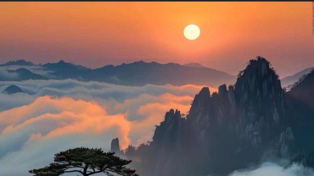 权威的建立