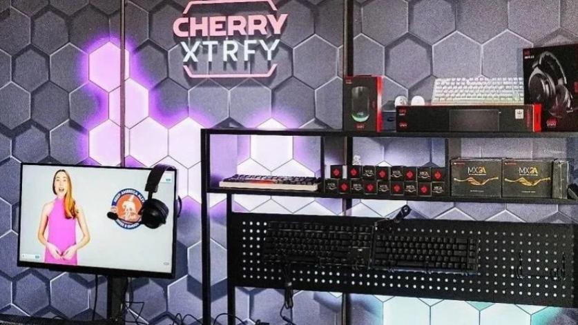 樱桃，键盘王者跌落神坛