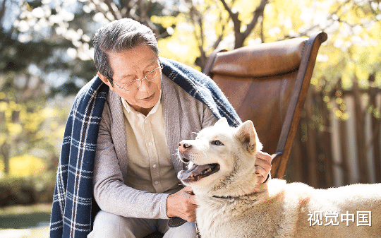 锁在阳台的金毛被活活烧死，背后竟是熊孩子的恶作剧，家长却说：法律都不制裁儿童，你们能奈我何？