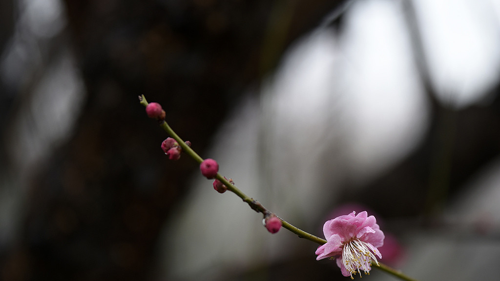 《业力管理》：你的痛苦，可能是你曾经让他人痛苦的业力回响