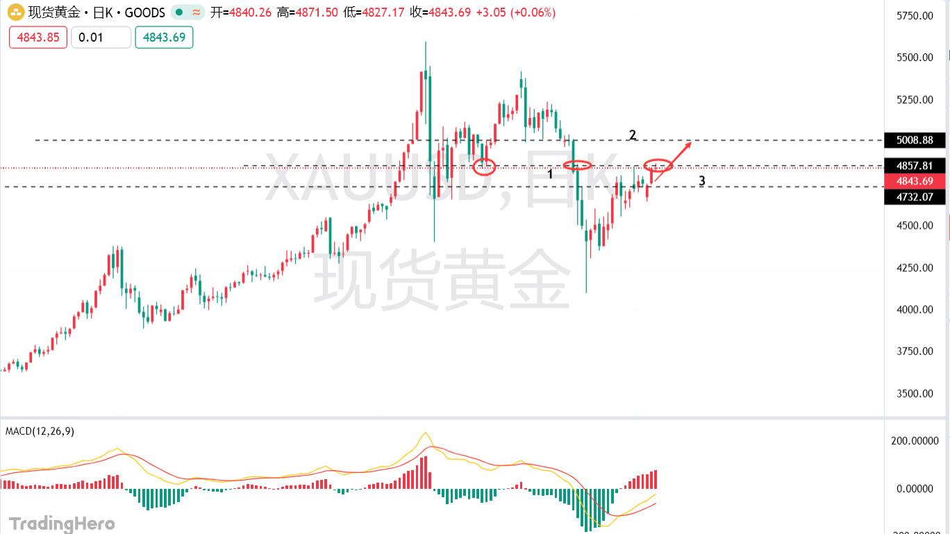 黄金下一步挑战4900一线的压制！