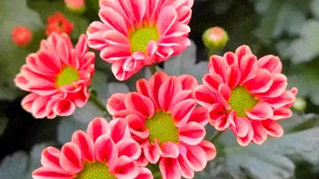 言不妄发，事不妄为，沉得住气，守得住心