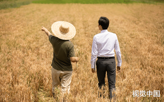 他从农技员干起，扎根顺禾镇8年，离镇长职位一步之遥，却在选举时，掉入关系户布下的连环死局