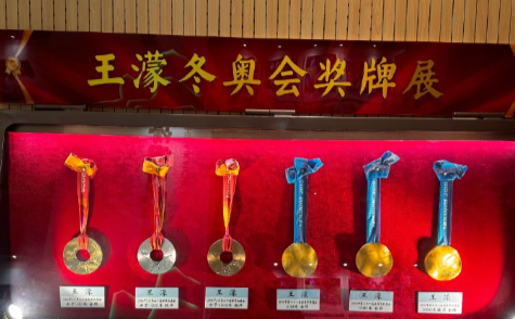 濛主在短道界的功绩不允许任何人污蔑，盘点一下王濛极具统治力的辉煌成绩，2002年