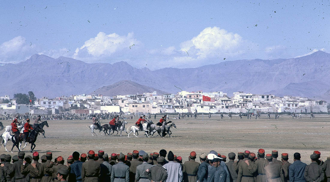 2013 年 3 月 5 日，阿富汗的赛马。
