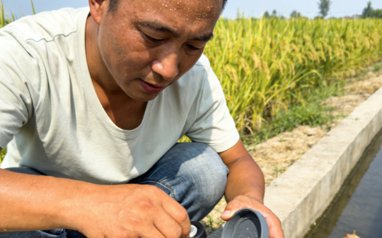 村霸老在我的水渠里游泳，我当天晚上，在水里撒了红糖，第二天，村霸的叫声把整个村子都惊醒了