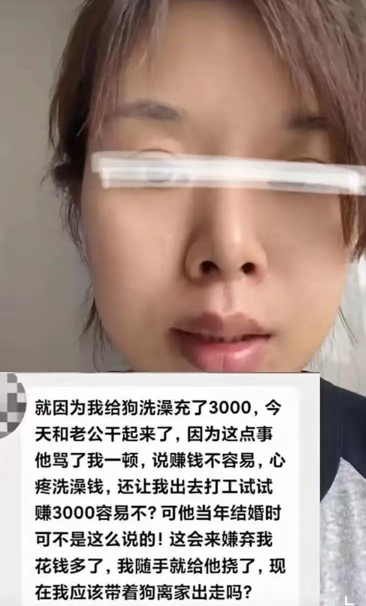 “就因为我给狗洗澡充了3000，和老公干起来了，因为这点事他骂了我一顿，说赚钱不
